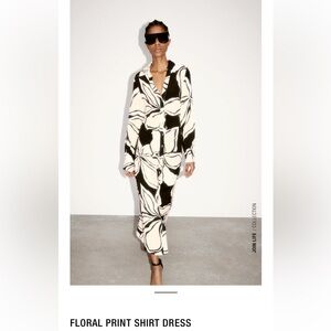 Zara Floral Print Shirt Dress